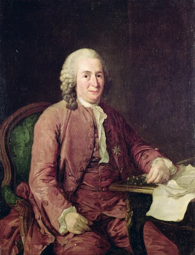 Portrait of Carl von Linnaeus by Alexander Roslin